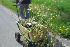 CIMG5871-Groß