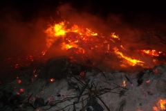 SAM_0061-Groß