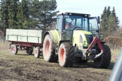 DSCN0534-Groß