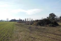 DSCN0546-Groß