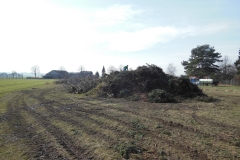 DSCN0550-Groß