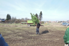 DSCN0557-Groß