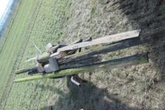 DSCN0582-Groß
