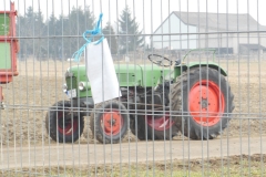 DSCN0671-Groß