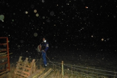 DSCN0720-Groß