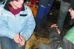 DSCN0895-Groß