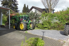 DSCN2457-Groß