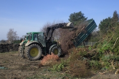 CIMG5414-Groß