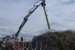 CIMG5482-Groß